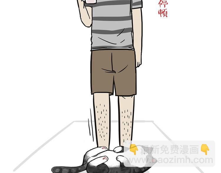 第44话 日常坑狗，却猫前屈膝22