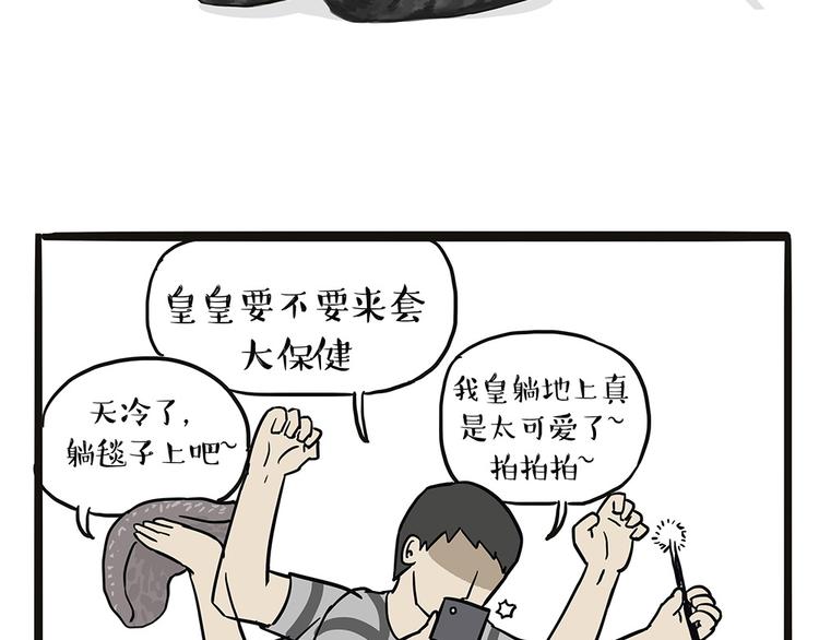 第44话 日常坑狗，却猫前屈膝23