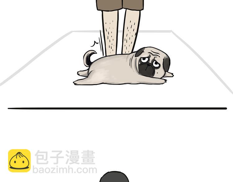 第44话 日常坑狗，却猫前屈膝28