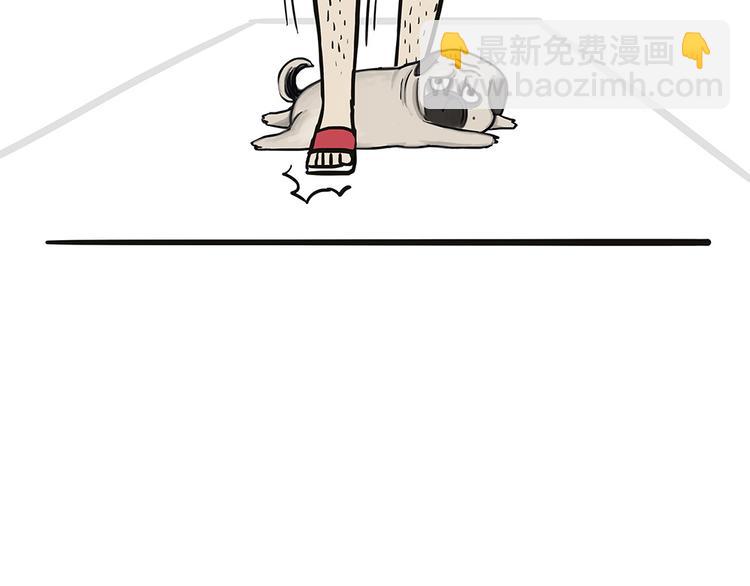 第44话 日常坑狗，却猫前屈膝30