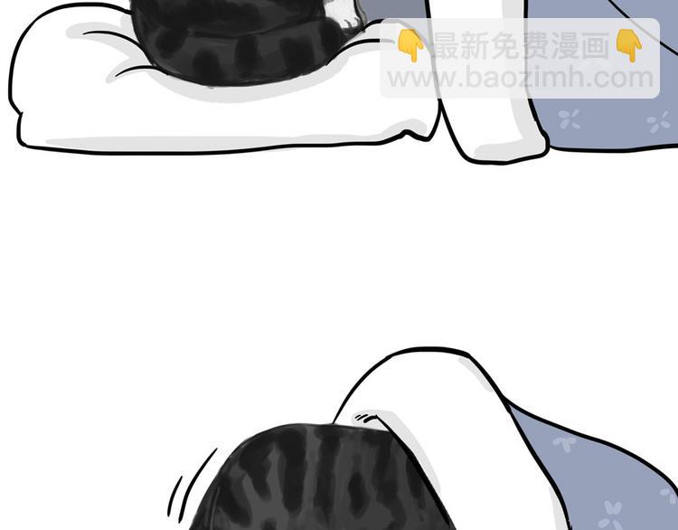第44话 日常坑狗，却猫前屈膝8