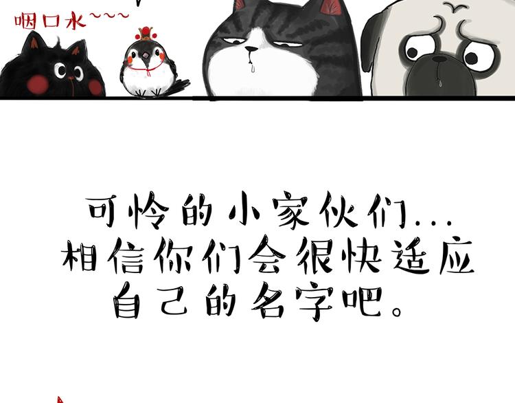 第48话 感觉自己失宠了（下）45