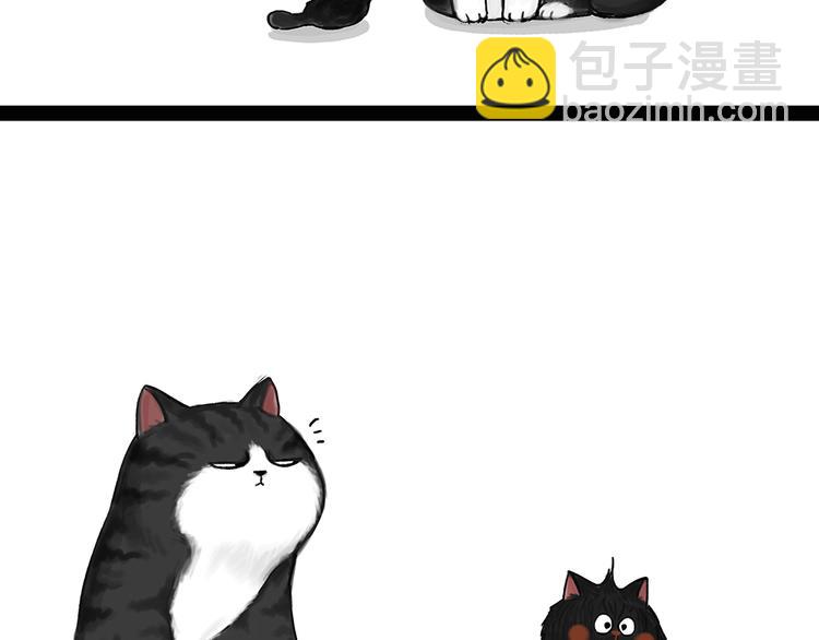 第50话 你的身边有我在11