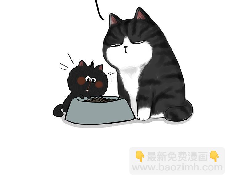 第50话 你的身边有我在16