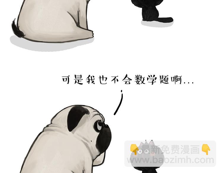 第51话 猫和狗的待遇就是不同1