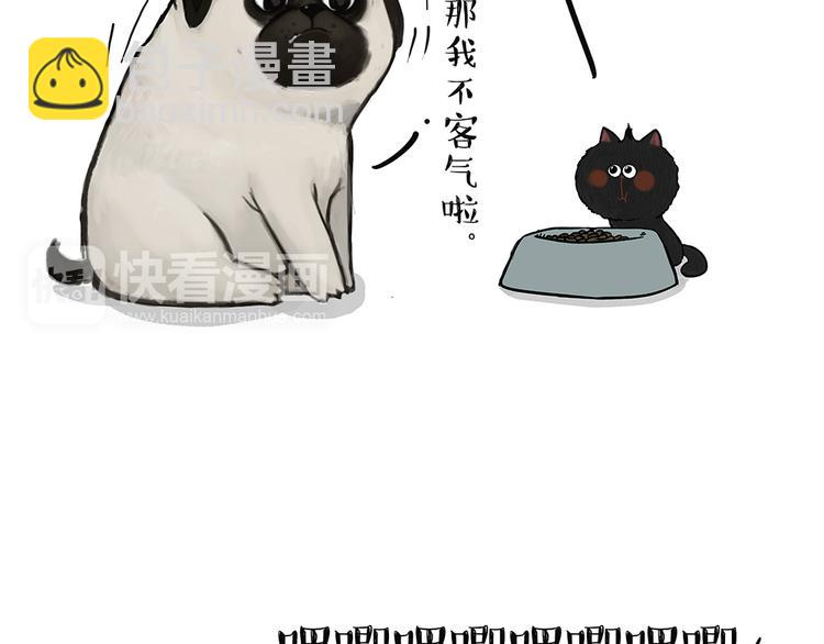 第51话 猫和狗的待遇就是不同10