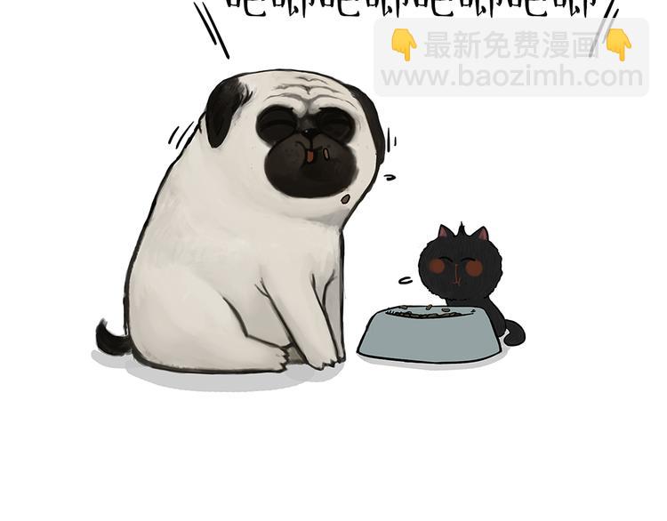 第51话 猫和狗的待遇就是不同11