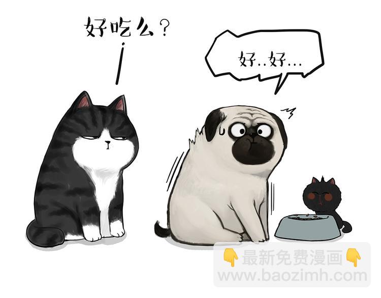第51话 猫和狗的待遇就是不同12