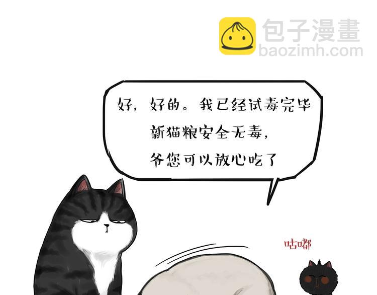 第51话 猫和狗的待遇就是不同13