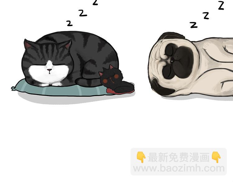 第51话 猫和狗的待遇就是不同16