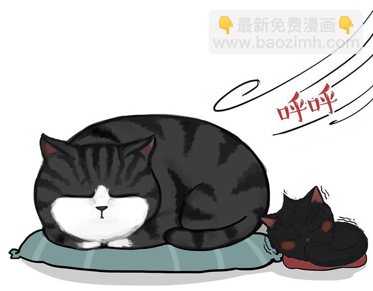 第51话 猫和狗的待遇就是不同17