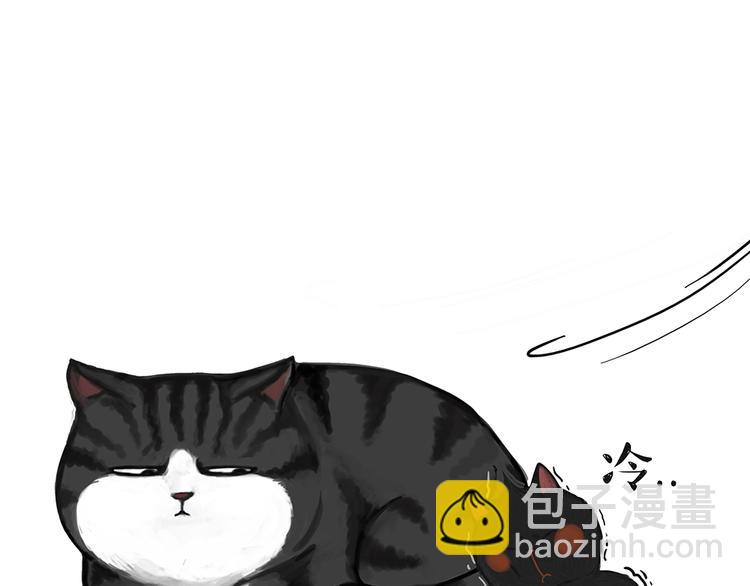 第51话 猫和狗的待遇就是不同18
