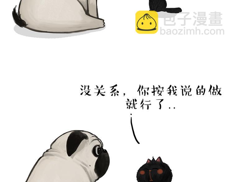 第51话 猫和狗的待遇就是不同2