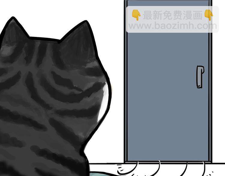 第51话 猫和狗的待遇就是不同20