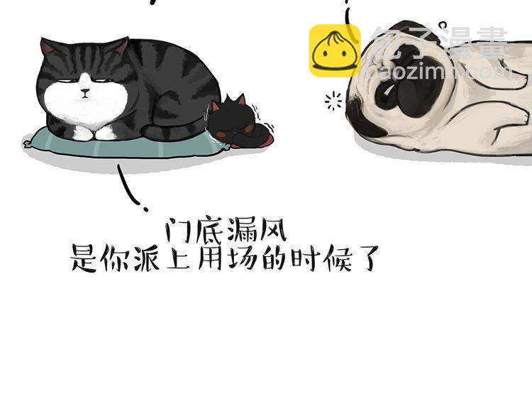第51话 猫和狗的待遇就是不同22