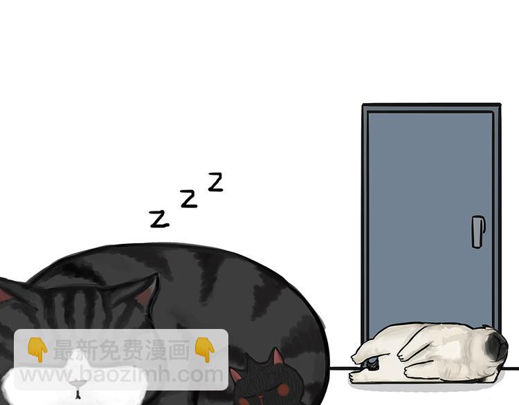 第51话 猫和狗的待遇就是不同25