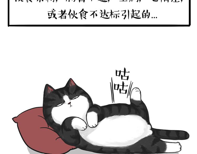 第51话 猫和狗的待遇就是不同29