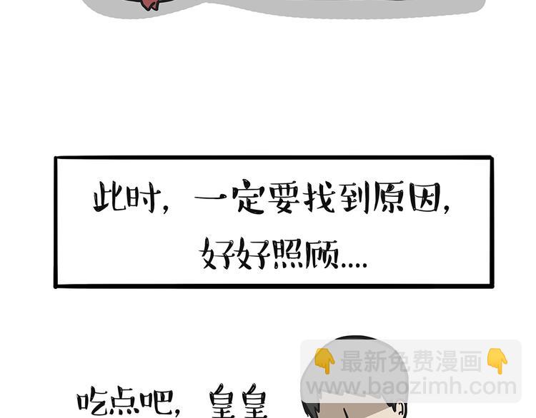 第51话 猫和狗的待遇就是不同30
