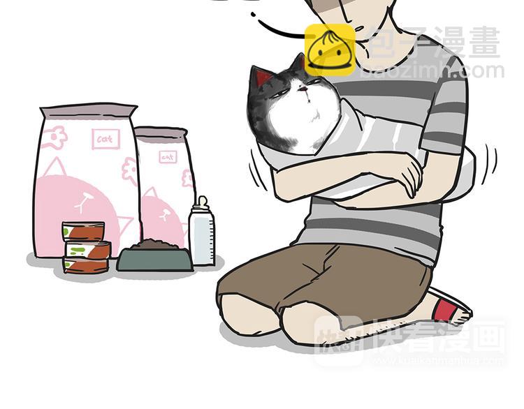 第51话 猫和狗的待遇就是不同31