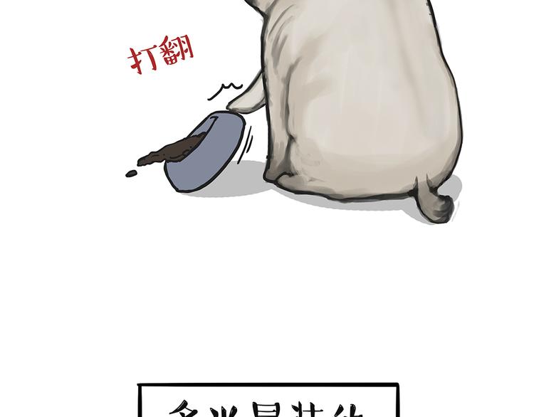 第51话 猫和狗的待遇就是不同33