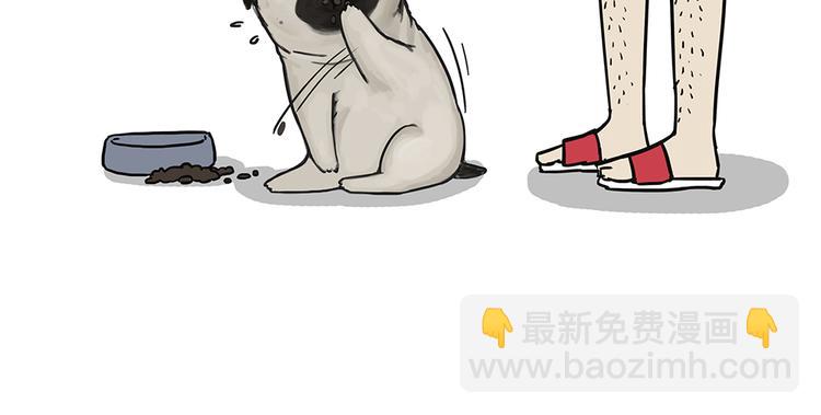 第51话 猫和狗的待遇就是不同35
