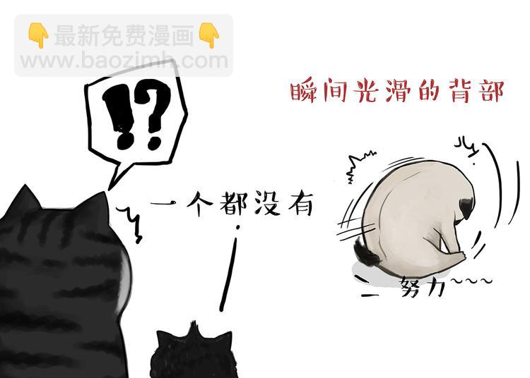 第51话 猫和狗的待遇就是不同6