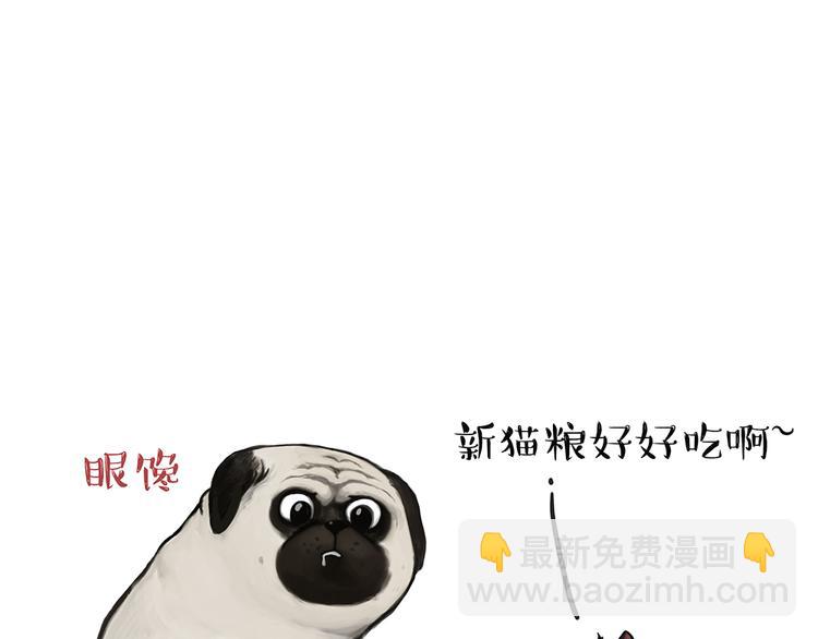 第51话 猫和狗的待遇就是不同7