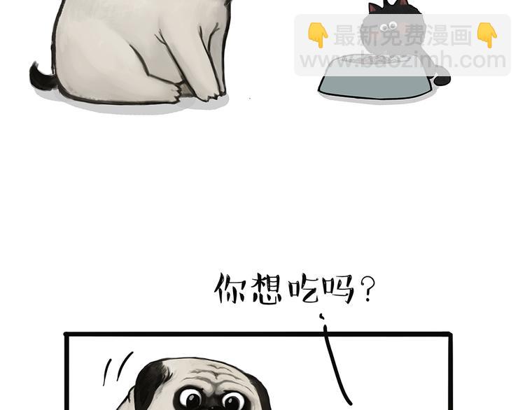 第51话 猫和狗的待遇就是不同8