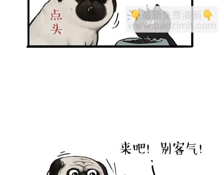 第51话 猫和狗的待遇就是不同9