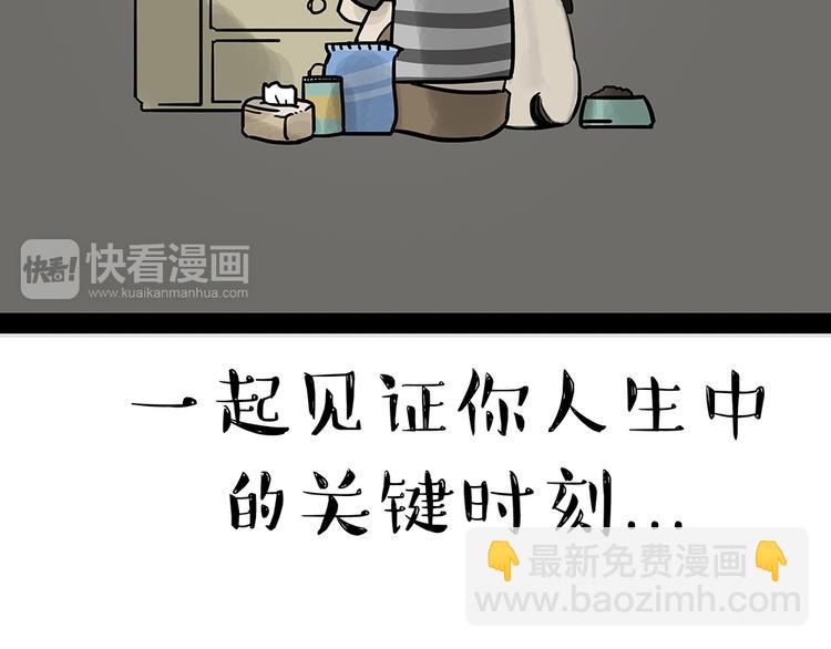 第52话 宠物的使命3