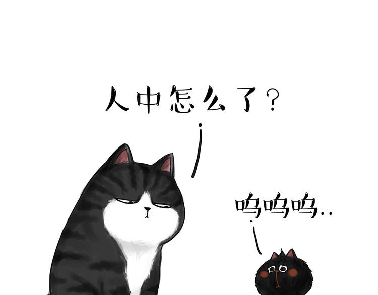 第53话 宠物的压力0