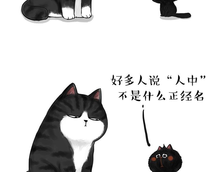 第53话 宠物的压力1