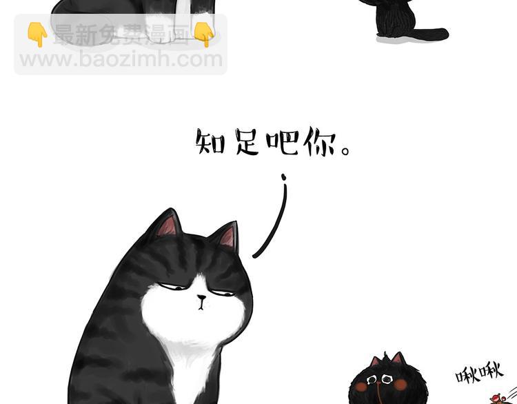 第53话 宠物的压力2