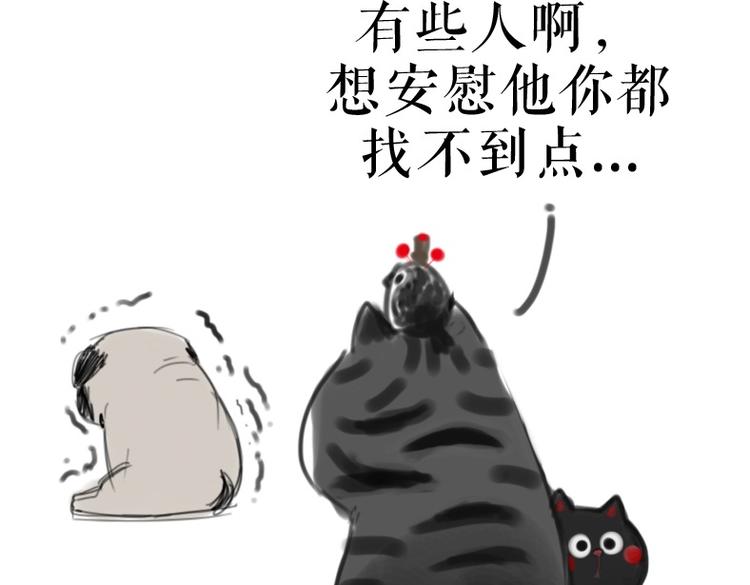 第53话 宠物的压力23