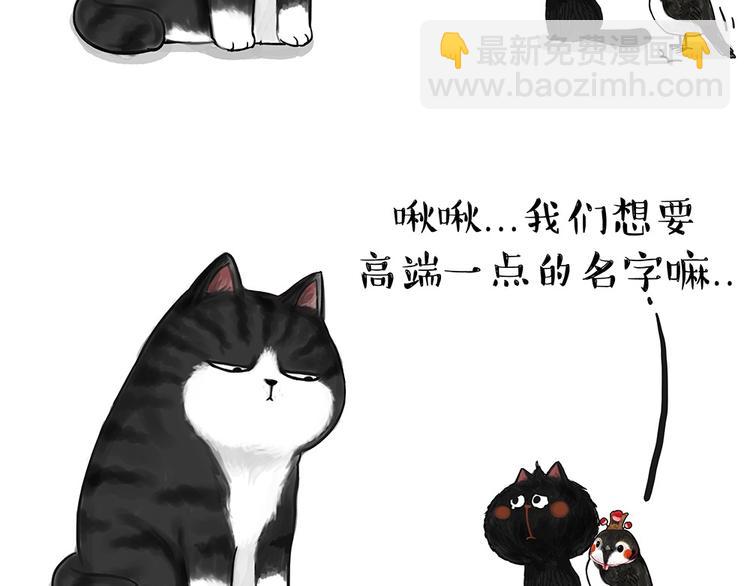 第53话 宠物的压力4