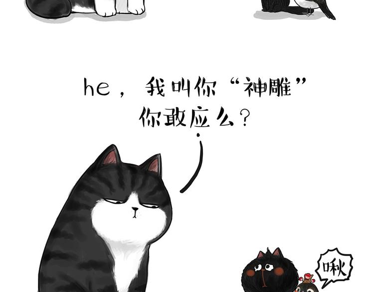 第53话 宠物的压力5