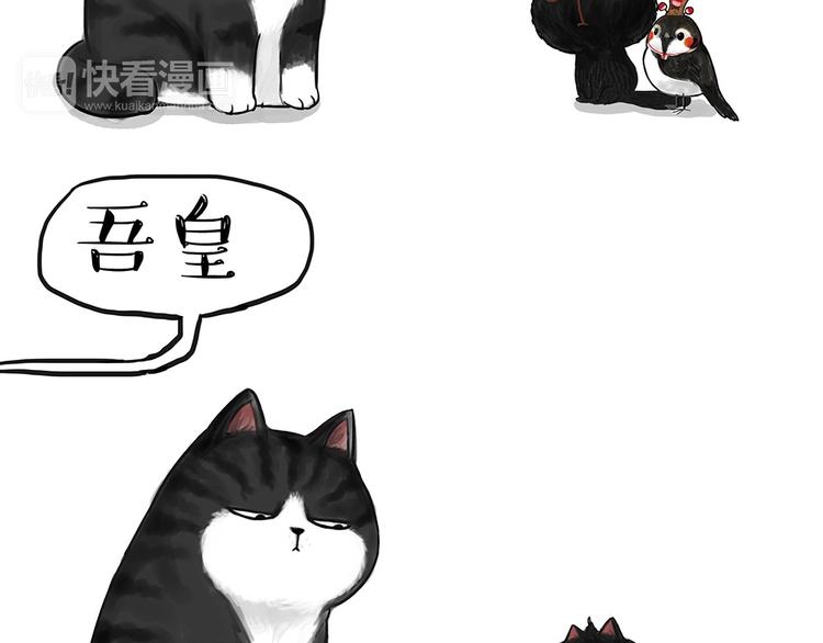 第53话 宠物的压力7