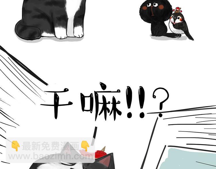 第53话 宠物的压力8