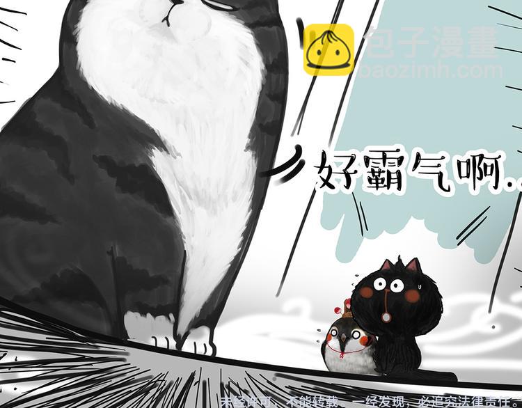 第53话 宠物的压力9
