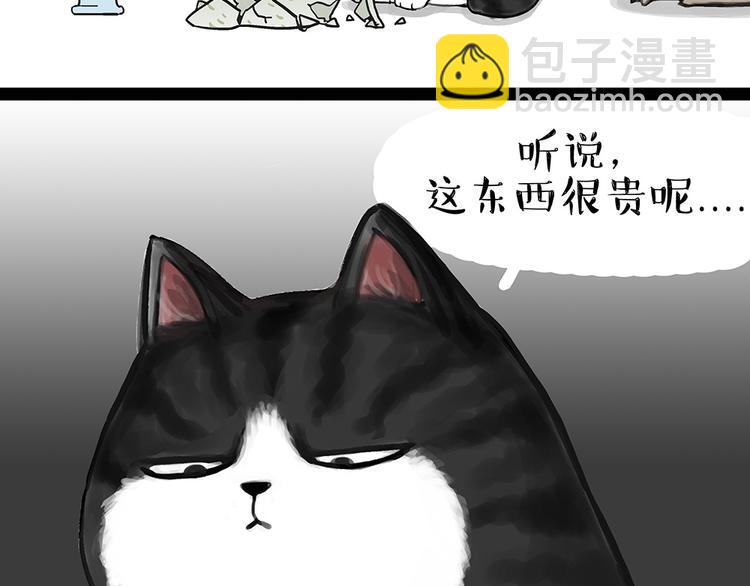 第54话 太受关注也不是好事13
