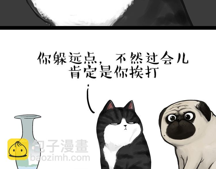 第54话 太受关注也不是好事14