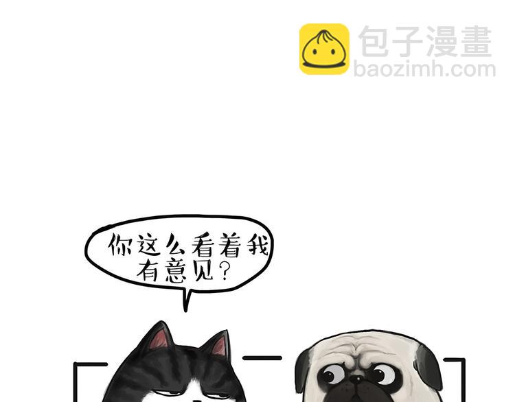 第54话 太受关注也不是好事27
