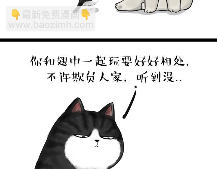 第57话 宠物太粘人是什么体验10