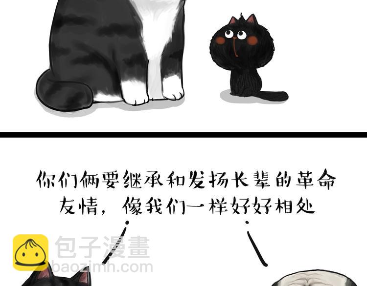 第57话 宠物太粘人是什么体验11