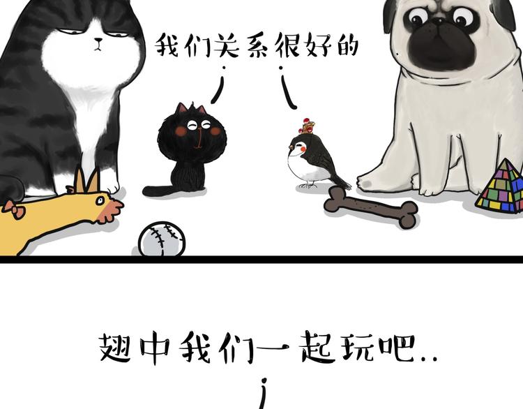 第57话 宠物太粘人是什么体验12