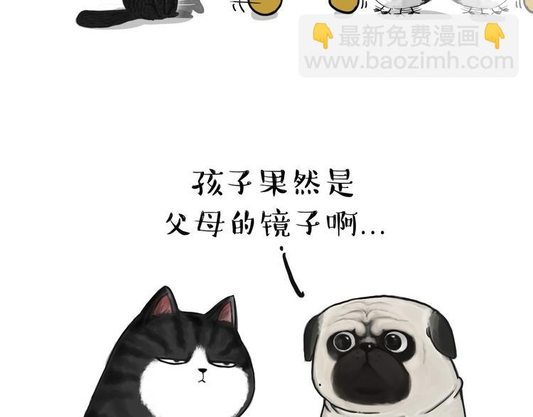 第57话 宠物太粘人是什么体验16