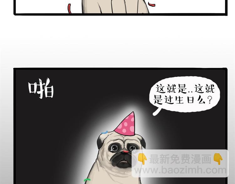 第57话 宠物太粘人是什么体验19