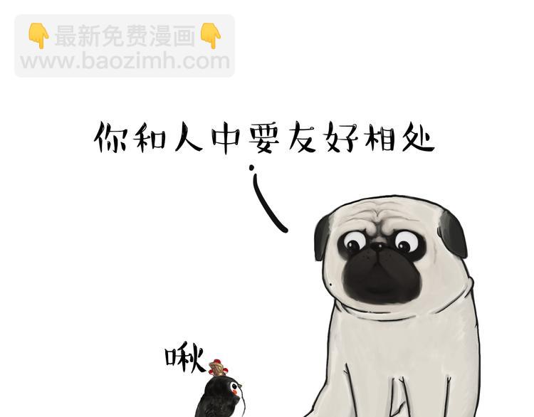 第57话 宠物太粘人是什么体验9