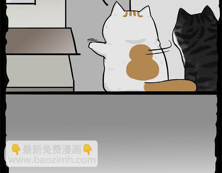 第58话 流浪生活17