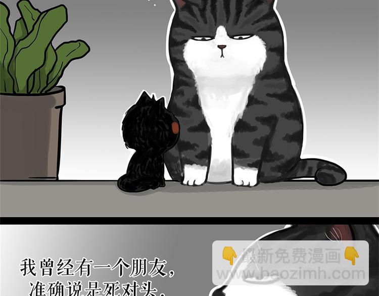 第58话 流浪生活3